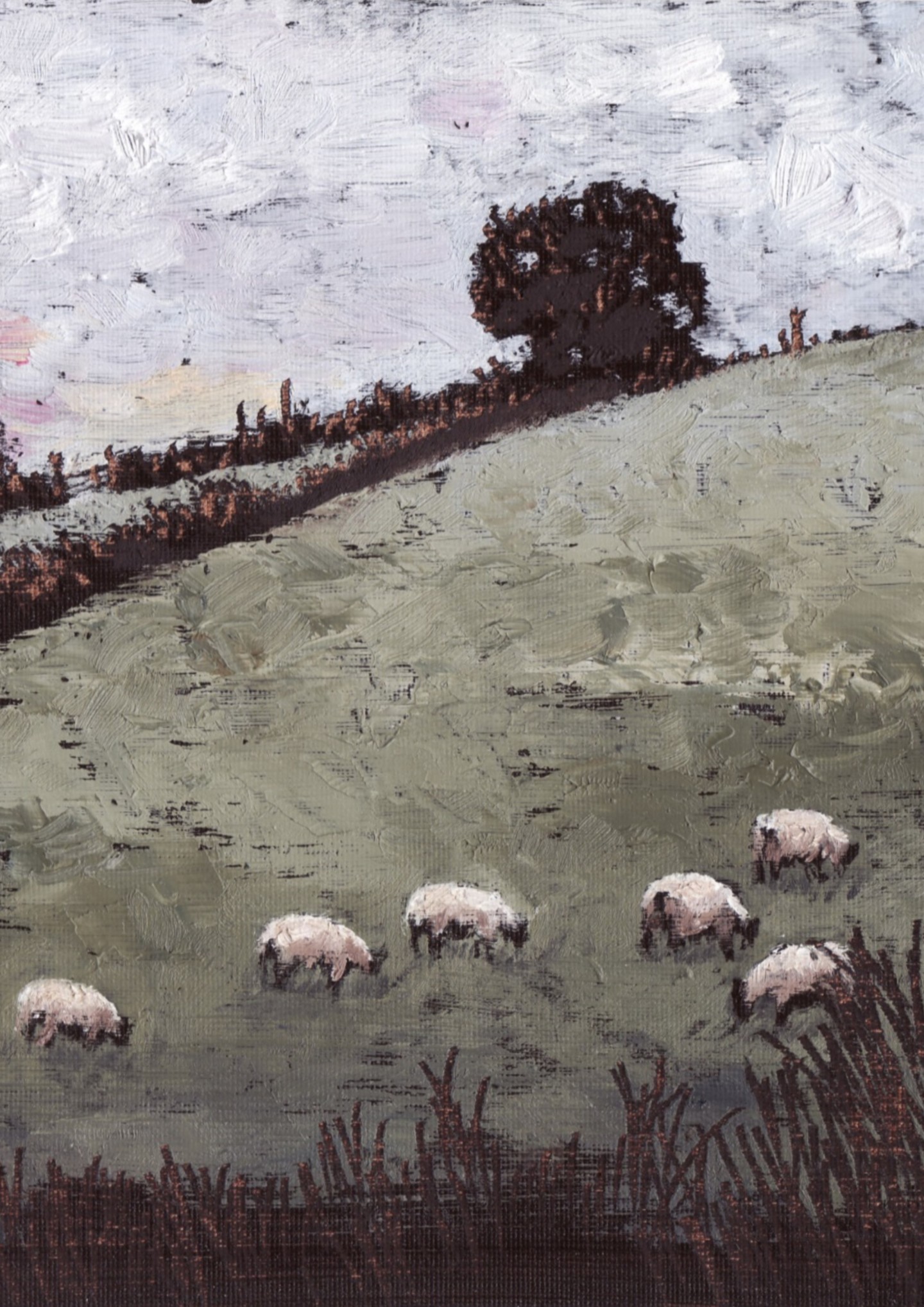 Micheal O Muirthile - The Sheep in Connie's Field